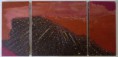 /album/pays-sage/terre-de-labour-jpg/